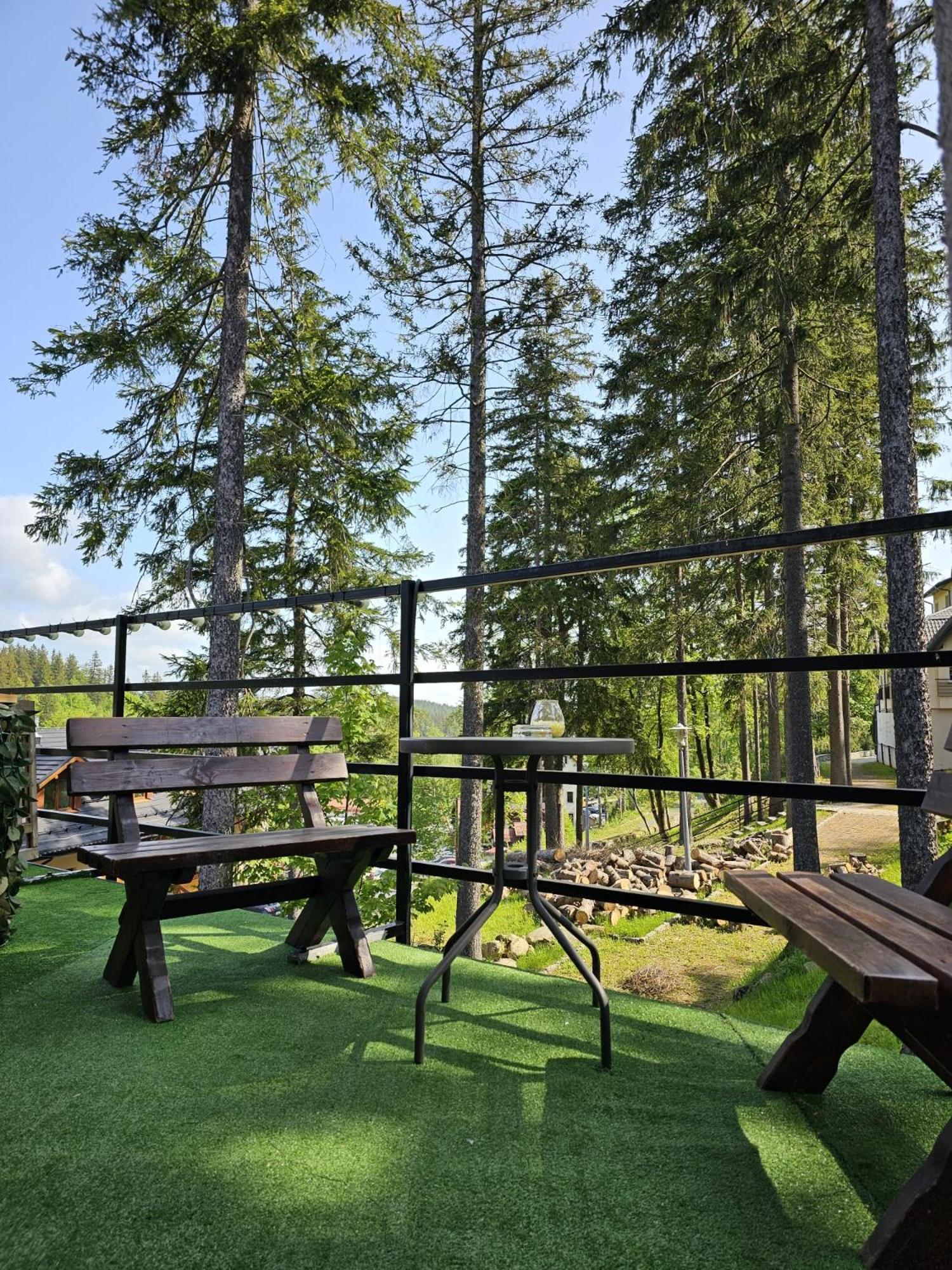 Safir Przy Samym Wyciagu Bed and Breakfast Karpacz Εξωτερικό φωτογραφία