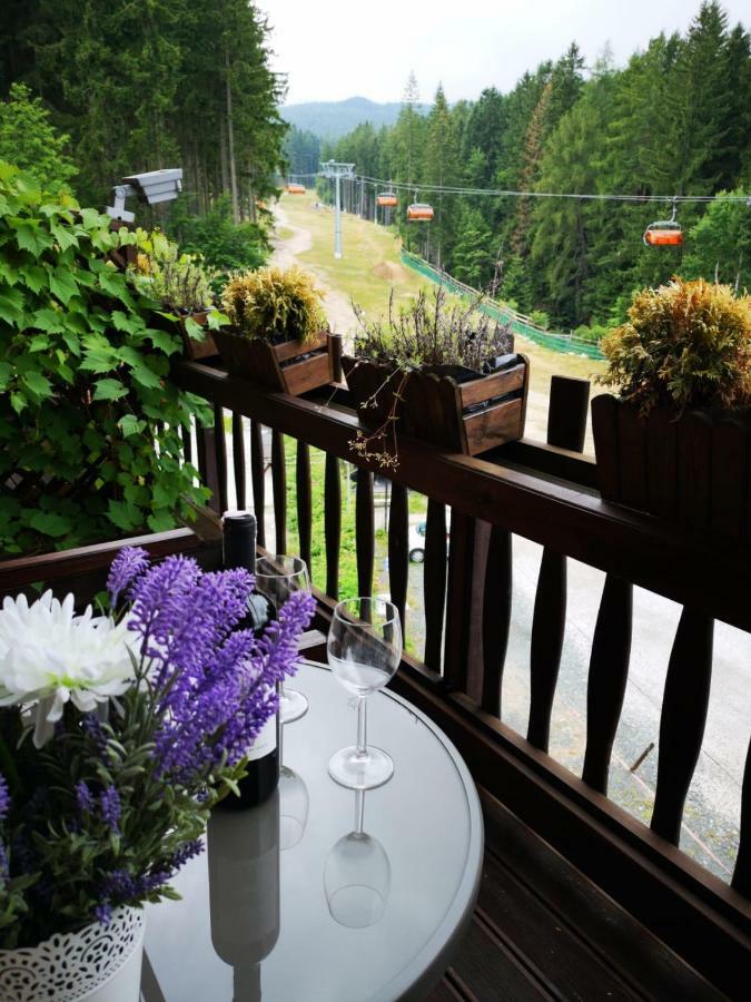 Safir Przy Samym Wyciagu Bed and Breakfast Karpacz Εξωτερικό φωτογραφία