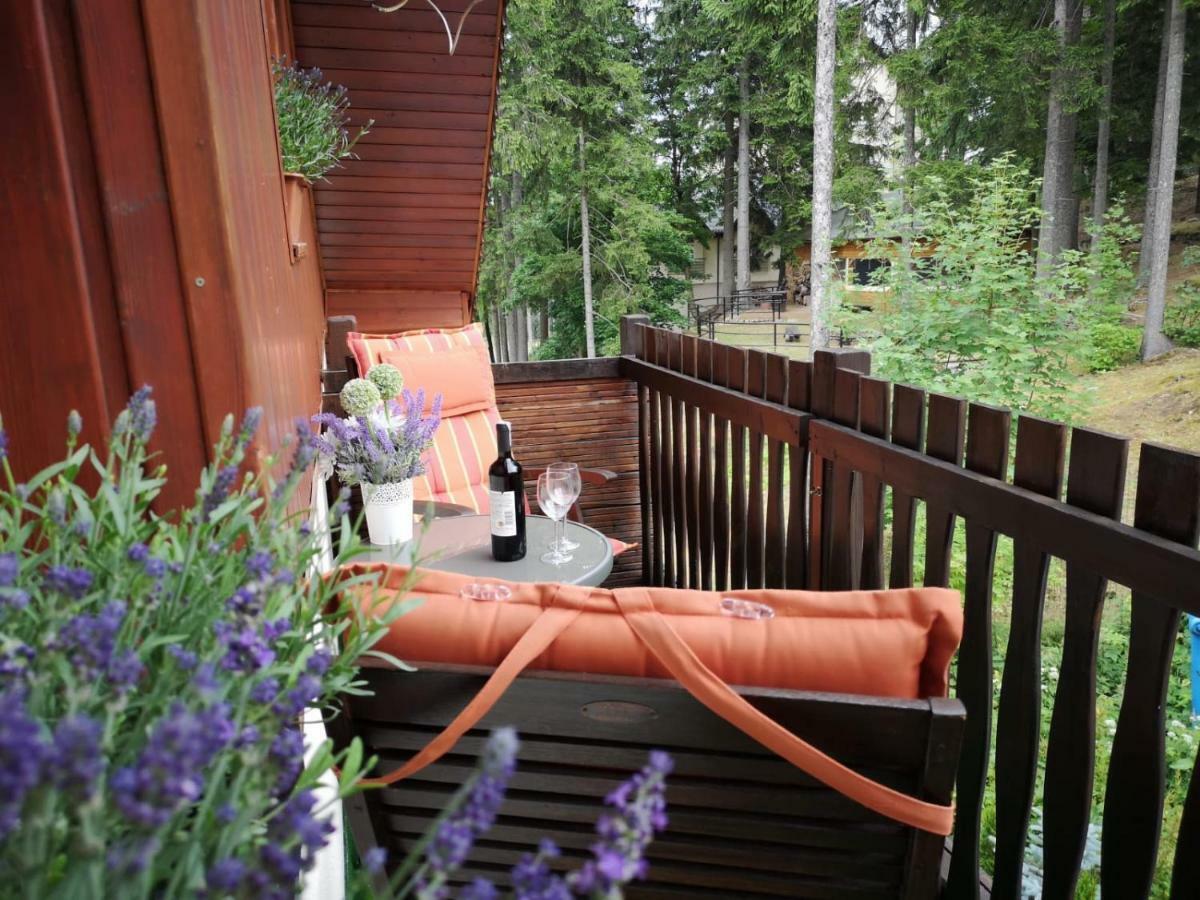 Safir Przy Samym Wyciagu Bed and Breakfast Karpacz Εξωτερικό φωτογραφία