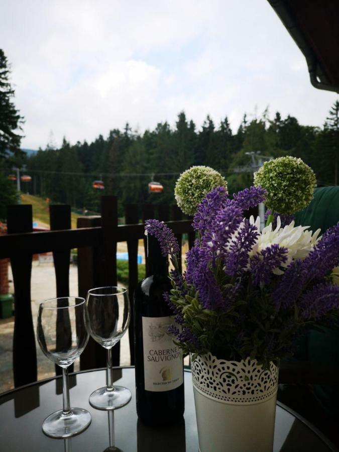 Safir Przy Samym Wyciagu Bed and Breakfast Karpacz Εξωτερικό φωτογραφία